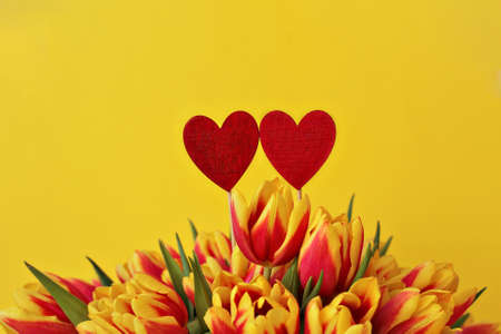 twain wooden red heart and bouquet of yellow pink tulips on yellow background