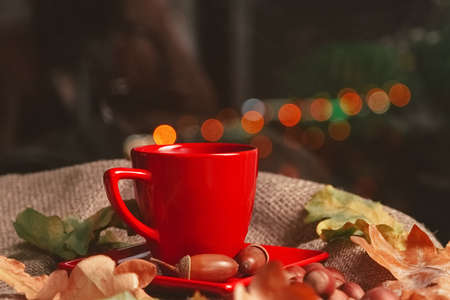 red cup with tea on saucer on bokeh background with autumn oak acorns, leaves and rowan berries, selective focusの写真素材