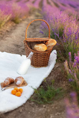 wicker basket with two baguettes and bottle of milk on white blanket at picnic in lavender, selective focusの写真素材