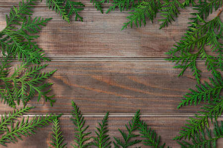 brown old wooden table background framed by green thuja branchesの写真素材