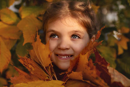 portrait of emotional screaming girl in sports suit of trend 2022 color blue Very Peri with bouquet of autumn leaves in her handsの写真素材