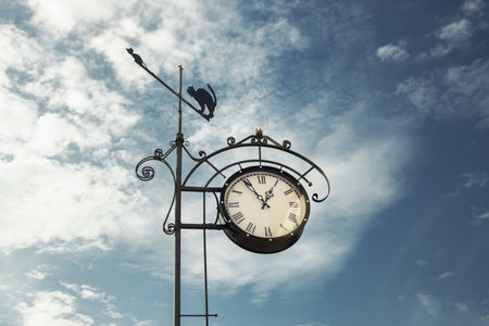 street metal black clock with figure of cat against sky