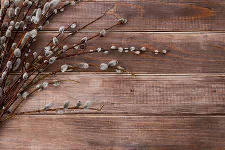 banner willow branches on brown wooden backgroundの写真素材
