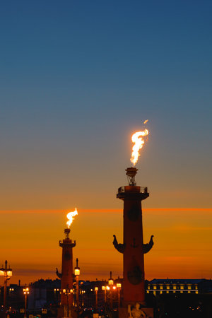 Fire lit torches on rostral columns at night in St. Petersburg, Russia, vertical
