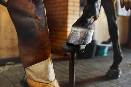 Close-up horses hoof and blacksmiths foot in stableの写真素材