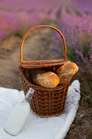 Wicker basket with two baguettes and bottle of milk on white blanket at picnic in lavender field, verticalの写真素材