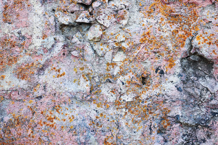 Texture of stone with pink and yellow figured spotsの写真素材