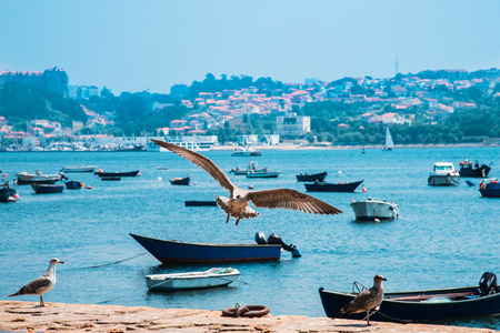 Fishing boats on the Douro River. Porto. Portugalの写真素材