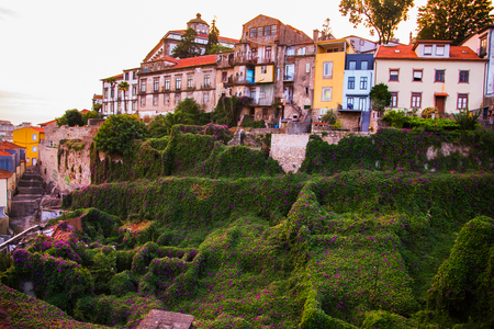 Tiled roofs in Porto. The Douro River. Summer city landscape.