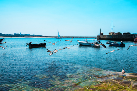 Fishing boats on the Douro River. Porto. Portugalの写真素材