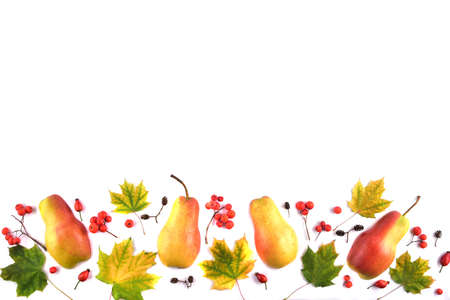 Autumn composition on a white background. Frame made of dried leaves and other natural material. Flat lay, top view, copy spaceの写真素材