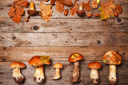 Autumn still life. Composition with mushrooms and leaves on a wooden background.の写真素材