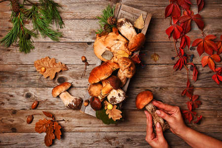 Autumn still life. Composition with mushrooms and leaves on a wooden background.の写真素材