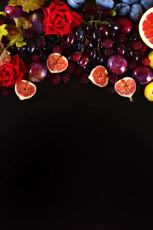 Autumn background still life of multicolored fruits and flowers on a black background. Place for textの写真素材