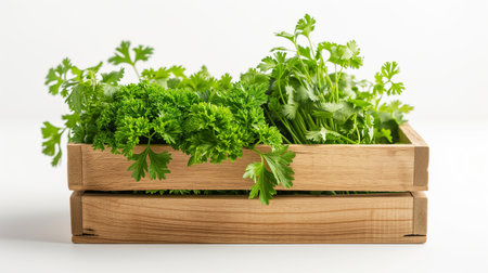 Wooden box with different herbs isolated white backgroundの素材