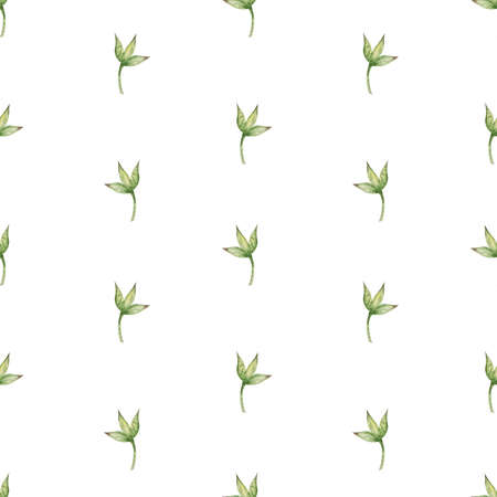 watercolor seamless patern with simple leavesの写真素材