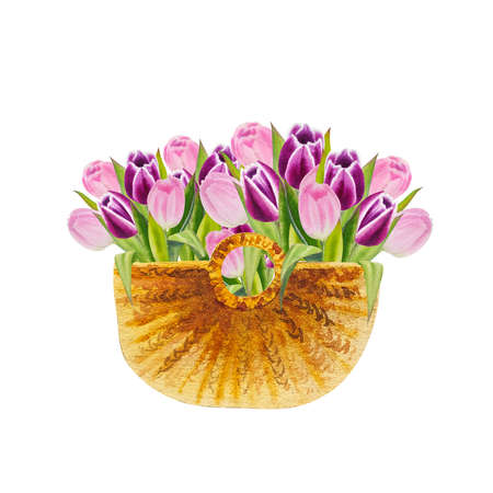 watercolor illustration of spring pink tulips in the basketの写真素材