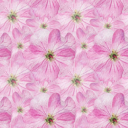 watercolor seamless patern with gentle geranium pink flowersの写真素材