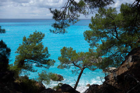 View of the Mediterranean Sea through the pine trees in Turkey