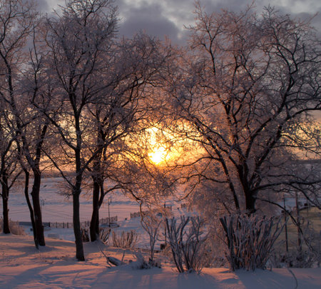 beautiful winter landscapeの写真素材