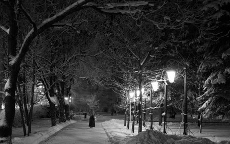 Quiet evening in the winter parkの写真素材