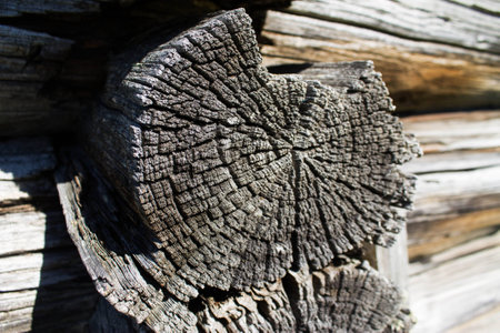 The structure of the logs of the old village housesの写真素材