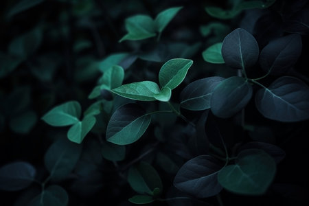 Dark moody green leaves summer background. AI generatedの素材