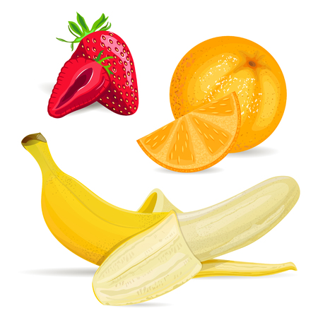 Set of raw fruits with slices isolated on white background. Vector illustration.のイラスト素材