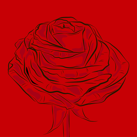 Blooming Red Flower Rose Ouline. Rose shape on red background vector.のイラスト素材