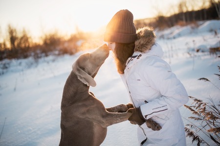 Women hugging a dog and kiss. Them playful and happiness.の写真素材