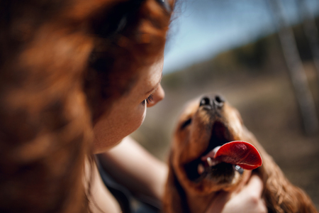 Girl kiss her cute American Cocker Spanielの写真素材