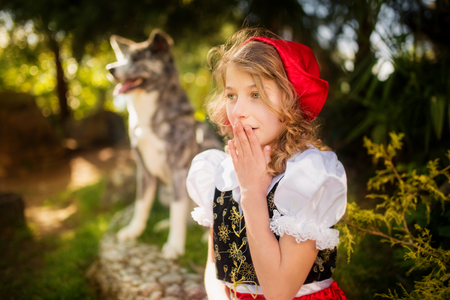a child dressed as a fairytale character, and a Japanese Akita walk along forest in the summerの写真素材