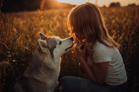 Beautiful elegant sexy girl with dog , sunset. field backgroundの写真素材