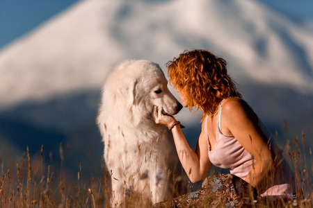 beautiful portrait women kiss cool white dog morema sit on grass in mountainの写真素材