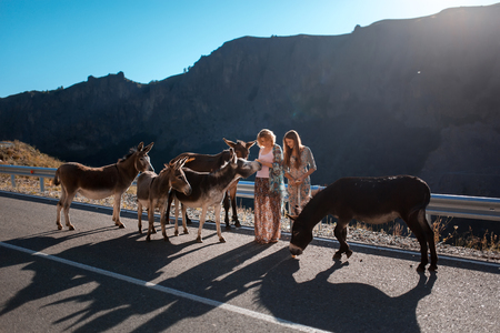 two girls with a horse on road in amazing dress mountainの写真素材