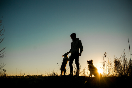 silhouette of man with two funny border collie dog on beach. sky sunset on backgroundの写真素材