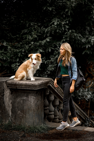 cute sexy blonde Girl in cool jeans jacket in park with her dog, border collieの写真素材