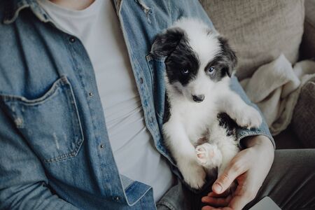 An attractive woman works on her laptop with her puppy at her side
