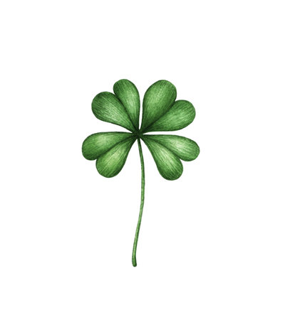 Four leaf clover. Green watercolor leave isolated on white background. Patricks Day design elementの写真素材