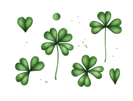 Four leaf clover. Green watercolor leave isolated on white background. Patricks Day design elementの写真素材