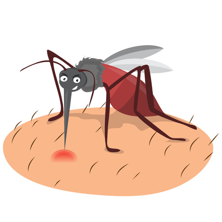 cartoon funny mosquito illustration on a white background.のイラスト素材