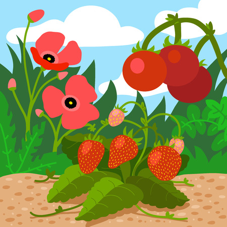 Colors for kids: red (field with red flowers, strawberries, tomatoes), vector illustrationのイラスト素材