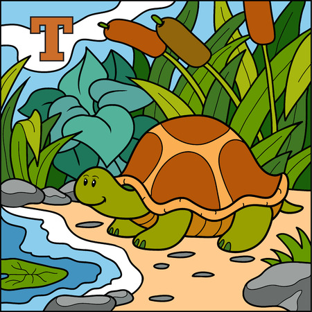 Color alphabet for children: letter T (turtle)のイラスト素材