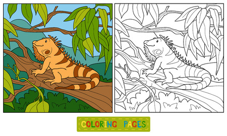 Coloring book (iguana)のイラスト素材