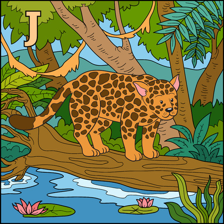 Color alphabet for children: letter J (jaguar)のイラスト素材