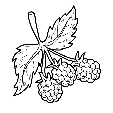 Coloring book for children: fruits and vegetables (raspberry)のイラスト素材