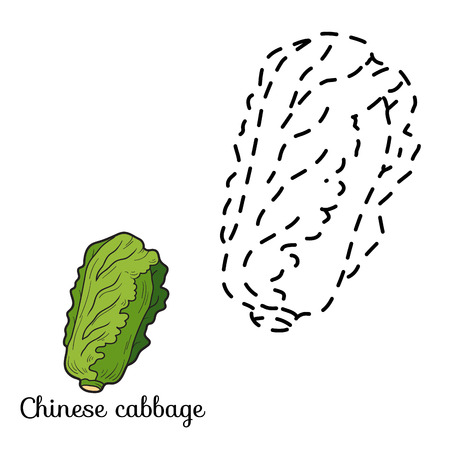 Connect the dots game for children: fruits and vegetables (chinese cabbage)のイラスト素材