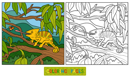 Coloring book, education game for children (chameleon)のイラスト素材
