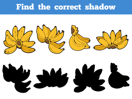 Find the correct shadow, education game for children, vector set of bananaのイラスト素材