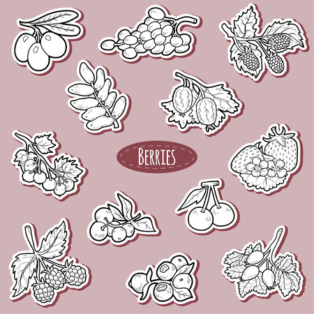 Black and white set of berries, vector cartoon stickers for childrenのイラスト素材